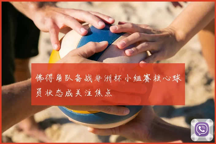 佛得角队备战非洲杯小组赛核心球员状态成关注焦点