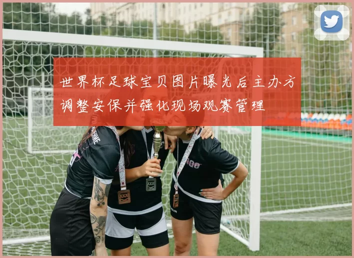 世界杯足球宝贝图片曝光后主办方调整安保并强化现场观赛管理