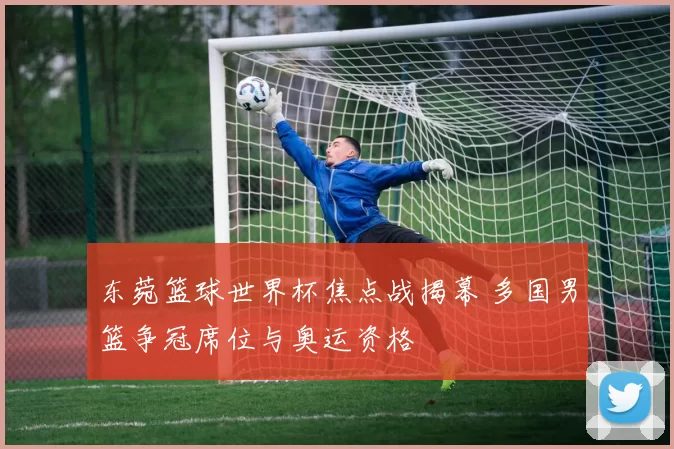 东菀篮球世界杯焦点战揭幕 多国男篮争冠席位与奥运资格