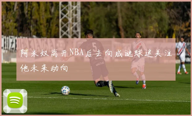 阿米奴离开NBA后去向成谜球迷关注他未来动向