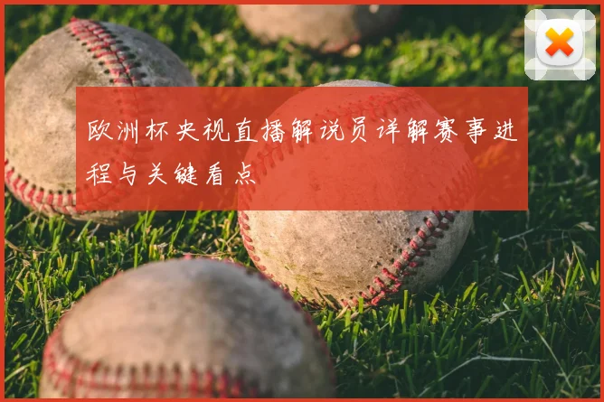 欧洲杯央视直播解说员详解赛事进程与关键看点